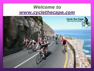 Road Cycling Tours Cape Town Covers the Most Scenic Bike Routes in Cape Town