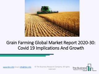 Grain Farming Market Overview, Demand, Size, Growth and Forecast 2020 Worldwide Analysis