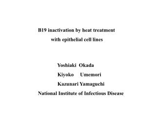 B19 inactivation by heat treatment with epithelial cell lines