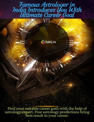 Famous astrologer in India introduces you with ultimate career goal