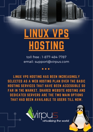 Linux vps hosting