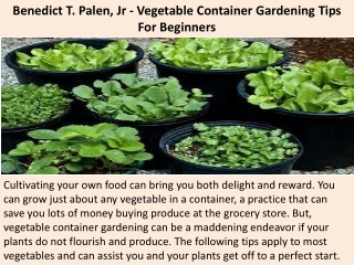 Benedict T. Palen, Jr - Vegetable Container Gardening Tips For Beginners