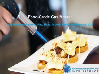 Food-Grade Gas Market Research Analysis By Knowledge Sourcing Intelligence