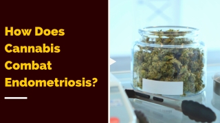 How Does Cannabis Play a Role in The Endometriosis Treatment?