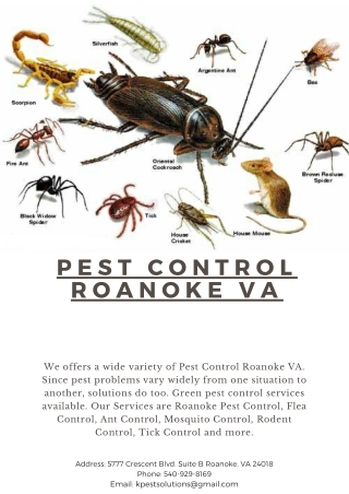 Pest Control Roanoke VA | Killinger Pest Solutions