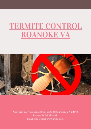 Termite Control Roanoke VA | Killinger Pest Solutions