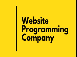 Website Programming Company