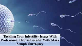 Tackling Your Infertility Issues With Professional Help is Possible With Mark Semple Surrogacy