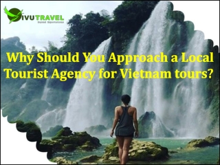 Why Should You Approach a Local Tourist Agency for Vietnam tours?