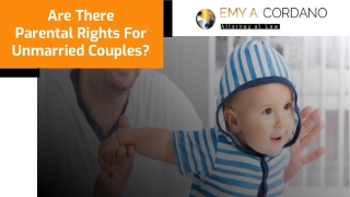 Are There Parental Rights For Unmarried Couples?