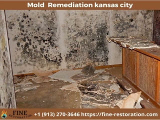 Mold Remediation kansas city - Fine Restoration