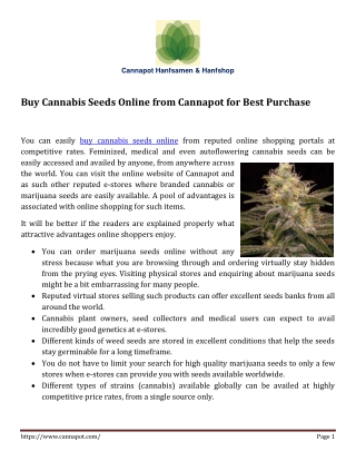 Best Cannabis Seeds Online Shop - Buy Safely from Cannapot