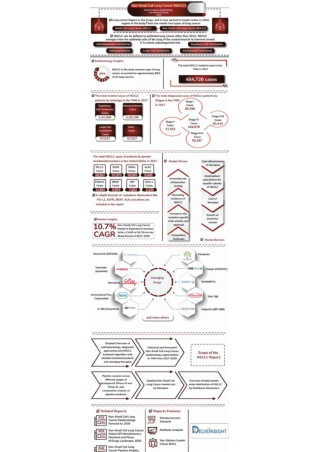 Non-Small Cell Lung Cancer Market