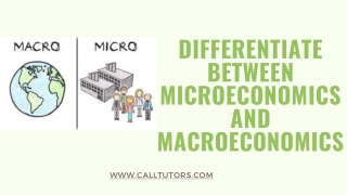 Differentiate Between Microeconomics And Macroeconomics