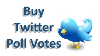 Buy Twitter Poll Votes- Suited from Your Specific Request