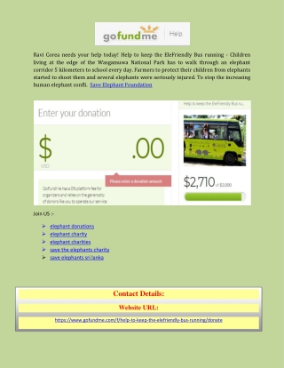 Save Elephant Foundation with the help gofundme.com