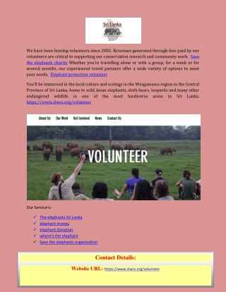 Save the elephants organization with the slwcs