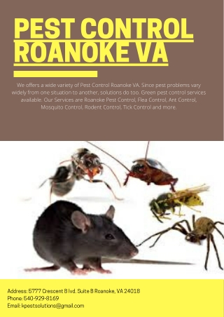 Pest Control Roanoke VA | Killinger Pest Solutions