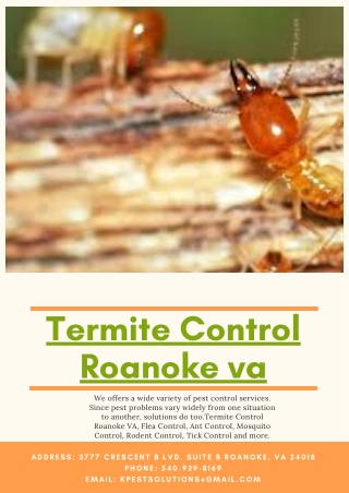 Termite Control Roanoke VA | Killinger Pest Solutions