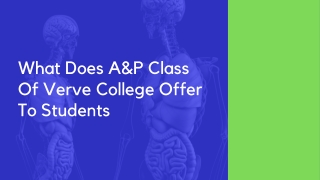 What Does A&P Class Of Verve College Offer To Students