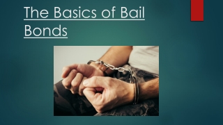 The Basics of Bail Bonds