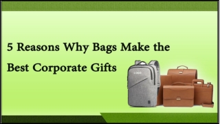5 Reasons Why Bags Make Best Corporate Gifts | Corporate Gifts In Delhi