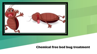 Chemical free bed bug treatment