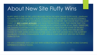 Fluffy Wins - Best New Bingo Site UK - Win Upto 500 Free Spins