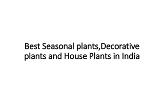 Best Seasonal plants,Decorative plants and House Plants in India