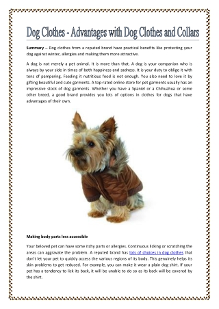 Dog Clothes - Advantages with Dog Clothes and Collars