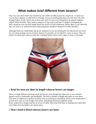 What makes brief different from boxers?