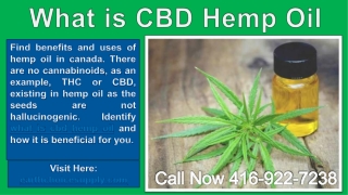 What is CBD Hemp Oil