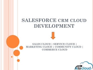 Salesforce CRM Cloud Development Services