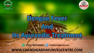 What is the Ayurvedic Treatment for Dengue Fever?