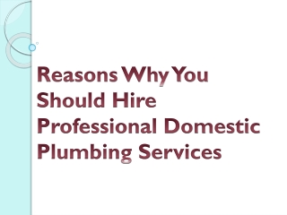 Why You Should Hire Professional Domestic Plumbing Services?