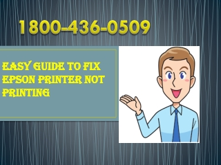 Easy Guide To Fix Epson printer Not Printing |18004360509