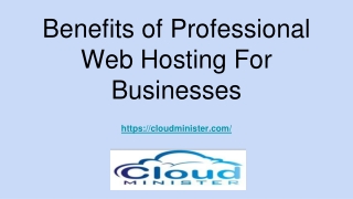 Benefits of Professional Web Hosting For Businesses