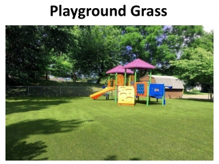 Play Ground Grass In Abu Dhabi