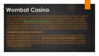 Wombat Casino - Best New Casino Site UK - Get Up to £200 Bonus