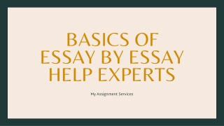 Basics Of Essay By Essay Help Experts