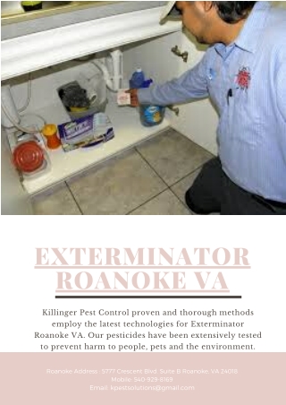 Exterminator Roanoke VA | Killinger Pest Solutions