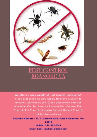 Pest Control Roanoke VA | Killinger Pest Solutions