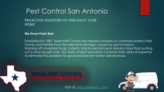 Pest Control San Antonio