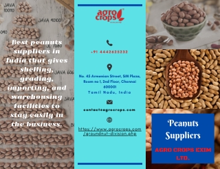 Know Your Peanuts Suppliers In India