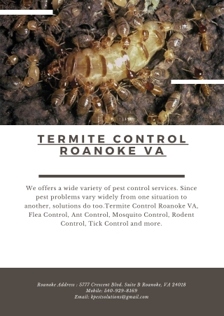 Termite Control Roanoke VA | Killinger Pest Solutions