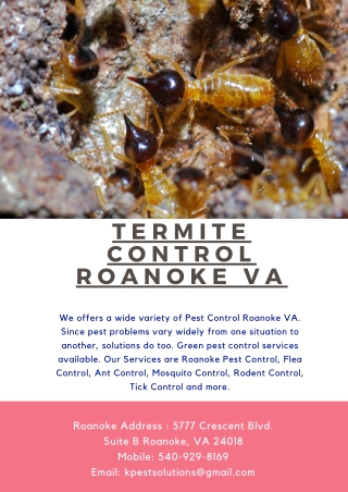 Termite Control Roanoke VA | Killinger Pest Solutions