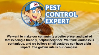 Pest Control Professional