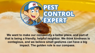 Pest Control Professional