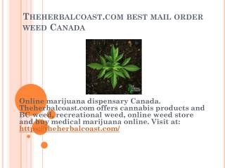 canada mail order marijuana