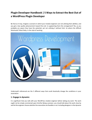 Plugin Developer Handbook | 5 Ways to Extract the Best Out of a WordPress Plugin Developer